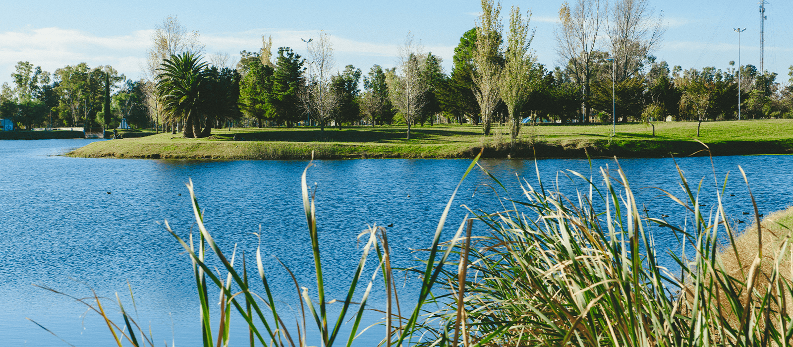 Vista terrestre de la isla del parque municipal y la laguna